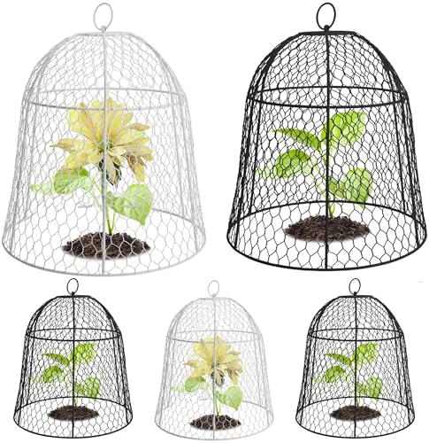 thumbnail interactive-video image 1 of Chicken Wire Chicken Wire Cloche Plant Protectors And Covers,12.99 1 of 11