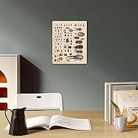 Vista 4 de Meishe Art Póster Vintage Impresión Colección de Insectos Identificación de Especies Tabla de Referencia Diagrama de Entomología Aula Club