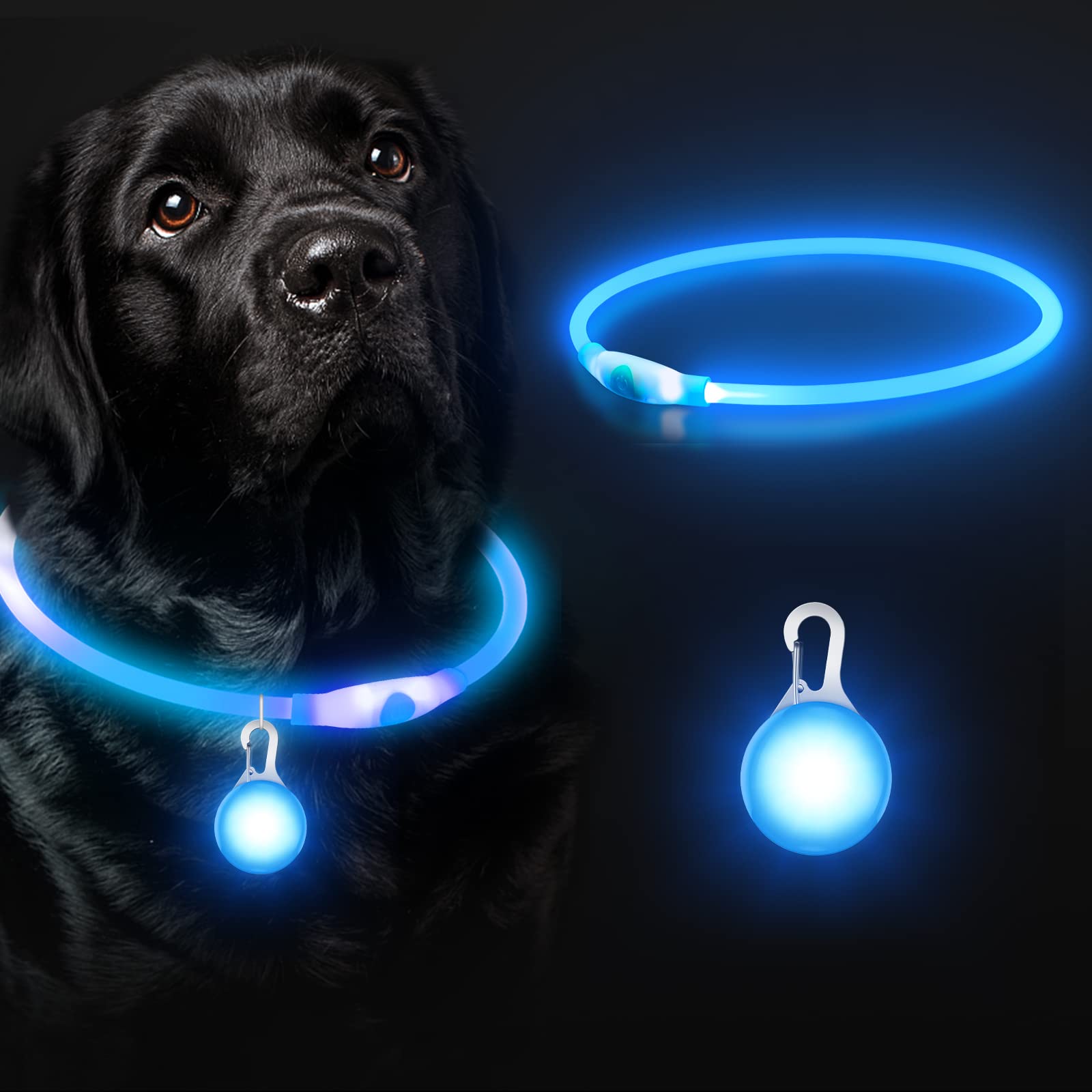 SerDa-Run 2 in 1 Light Up Dog Collar + Tag, Tag with USB Rechargeable, Led Adjustable Flashing Puppy Collars Three Modes for Small Medium large Dogs Cats, Pink