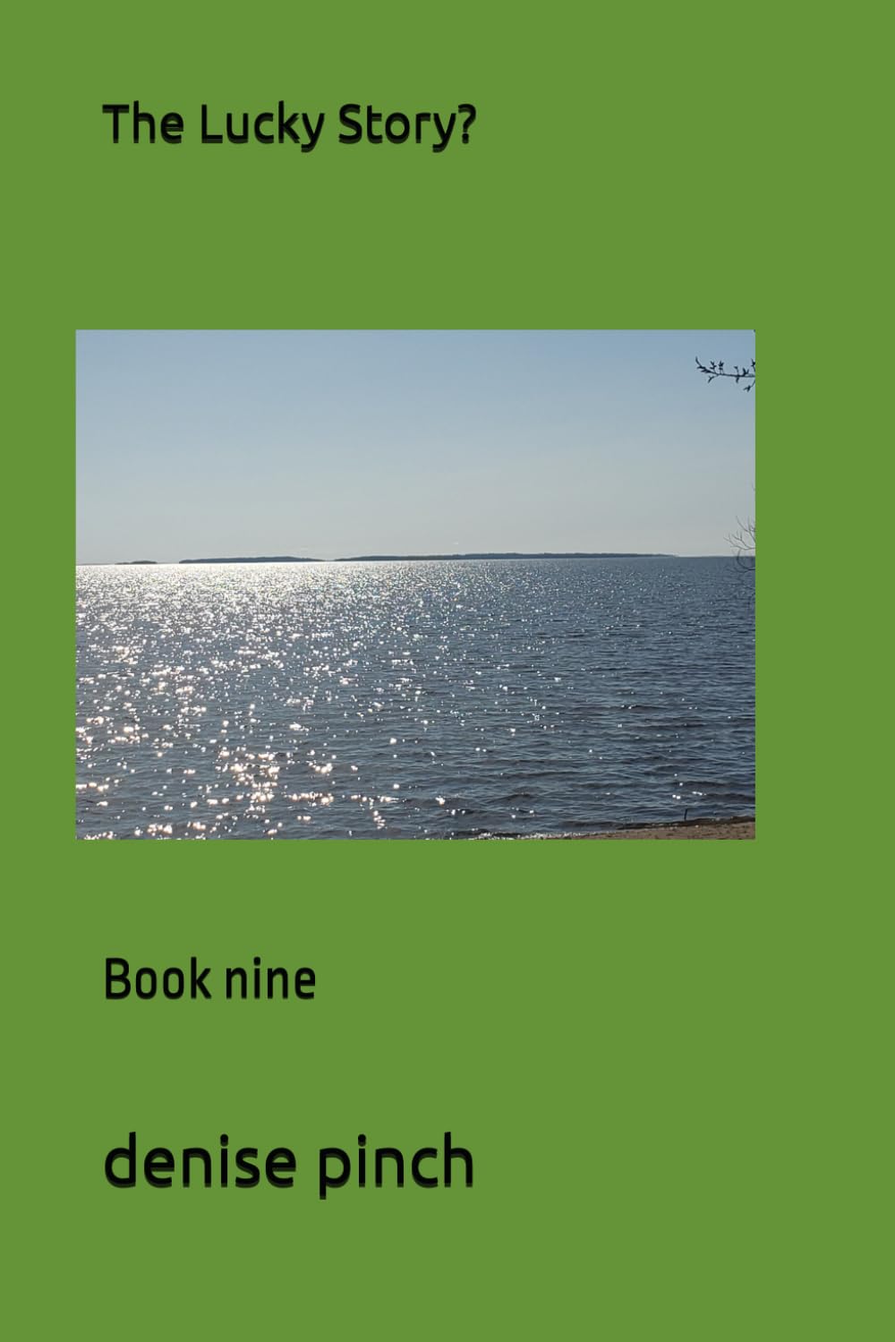The Lucky Story?: Book nine