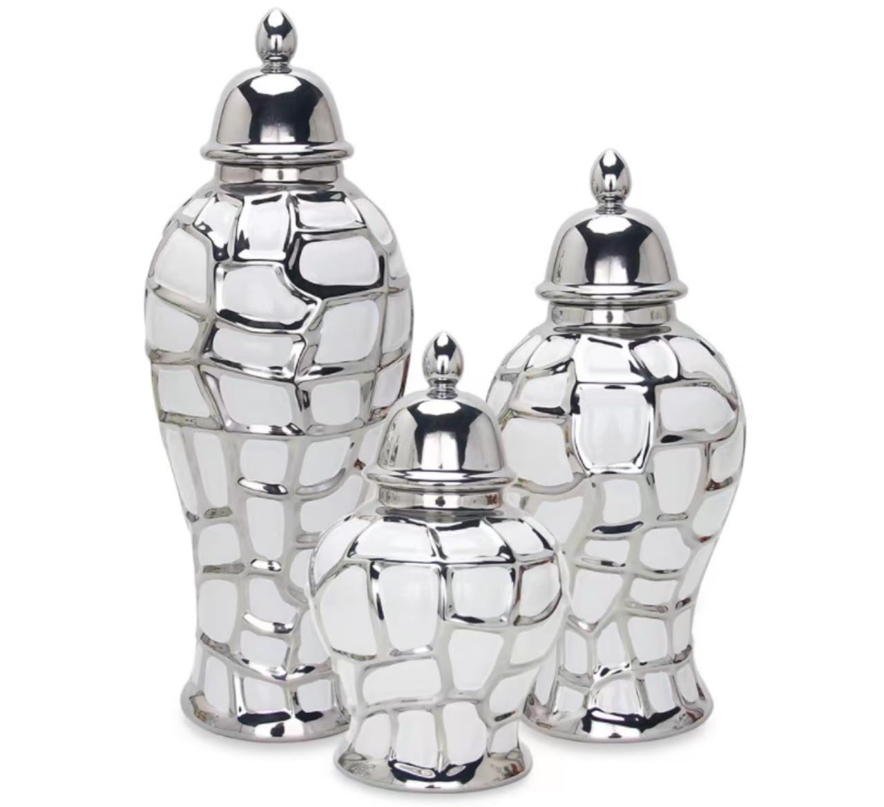 Vaso moderno Vaso in ceramica for zenzero con coperchio Vasi for...(Silver)