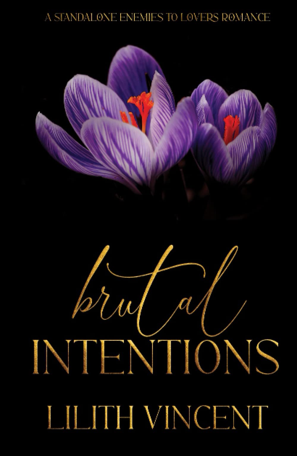 Brutal Intentions: A Standalone Mafia Enemies to Lovers Romance: Special Edition