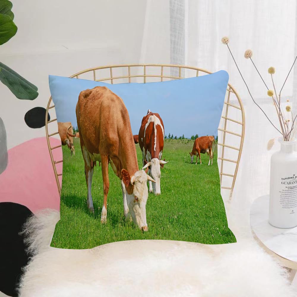 HYMSXW Cushion Cover,Throw Pillow Case Home Decorative for Living Room Bedroom Sofa Chair 20X20 Inch,Cows, cattle foraging on the grassland, pastoral grazing scene,Pillowcase 50X50cm