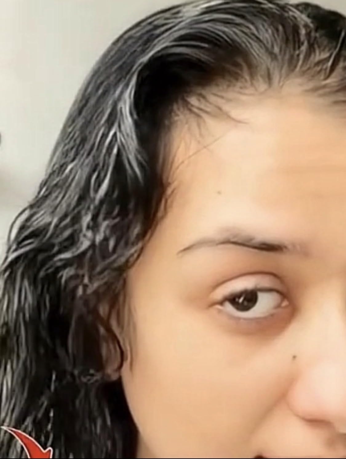Queda de Cabelo – WHS PAL Capilar, Tratamiento Natural para Cabello Débil, Fino o Seco, Pack de 2 Unidades