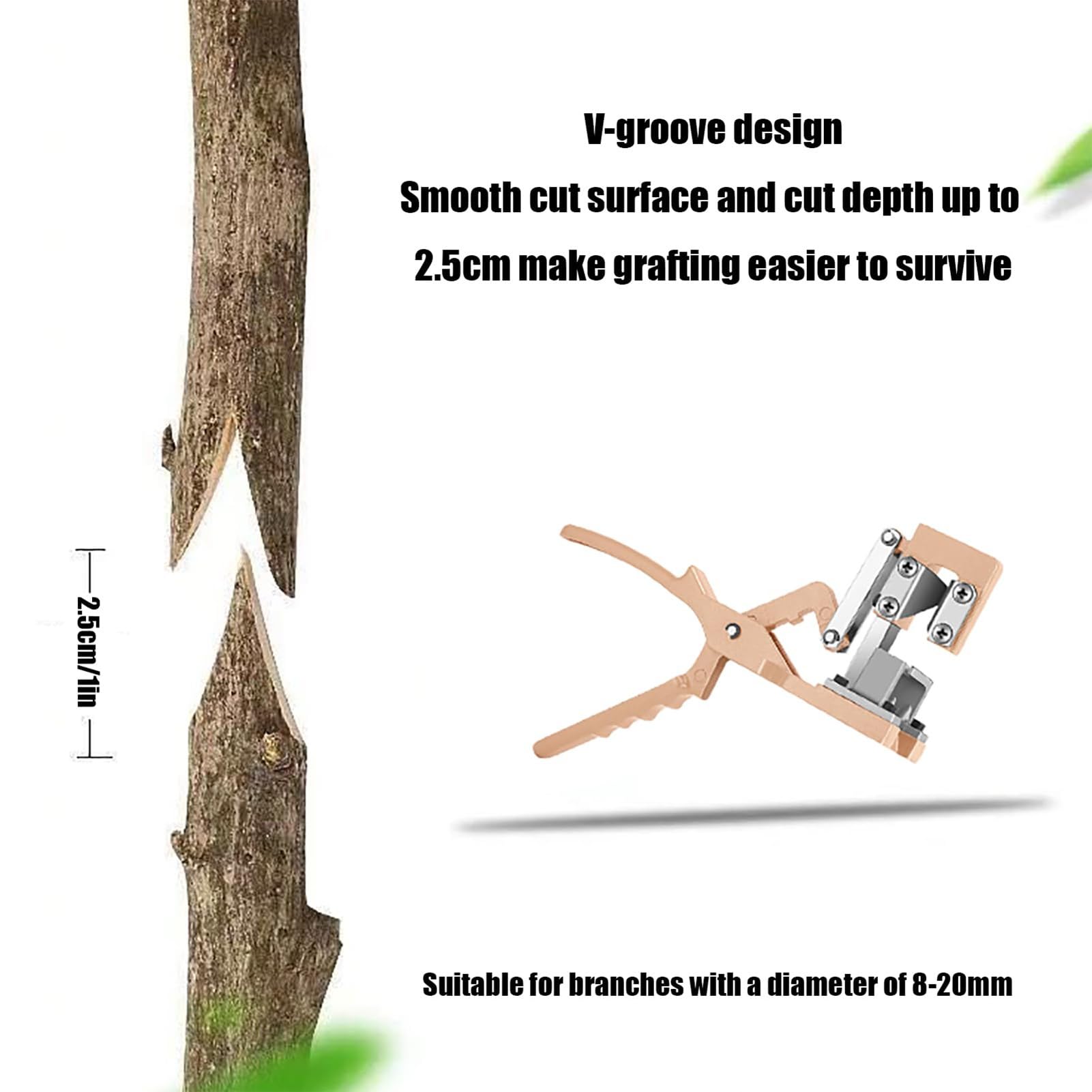 Cesoie per Alberi da frutto, potatrice di Lama SKS7 Resistente con Maniglia ergonomica, Strumento Profondo Taglio 2cm per Viti e Grandi Rami, Facile Kit di innesto a Un Passo