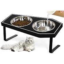 OPELETNNT Cat Food Bowls Elevated, Gothic Cat Bowls, Raised Cat Bowls for Indoor Cats with Non-Slip Stand & Bamboo Board, Stainless Steel and Whisker Friendly Food Bowls