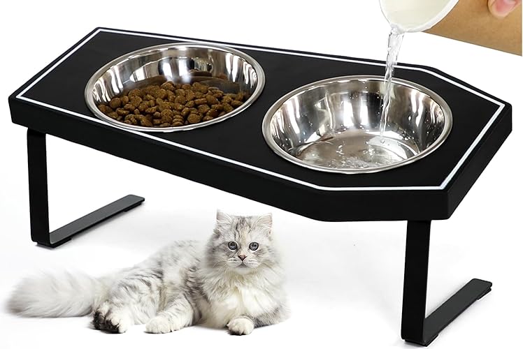Cat Food Bowls Elevated, Gothic Cat Bowls, Raised Cat Bowls for Indoor Cats with Non-Slip Stand & Wood Board, Stainless Steel and Whisker Friendly Food Bowls - Cat Bowls x2