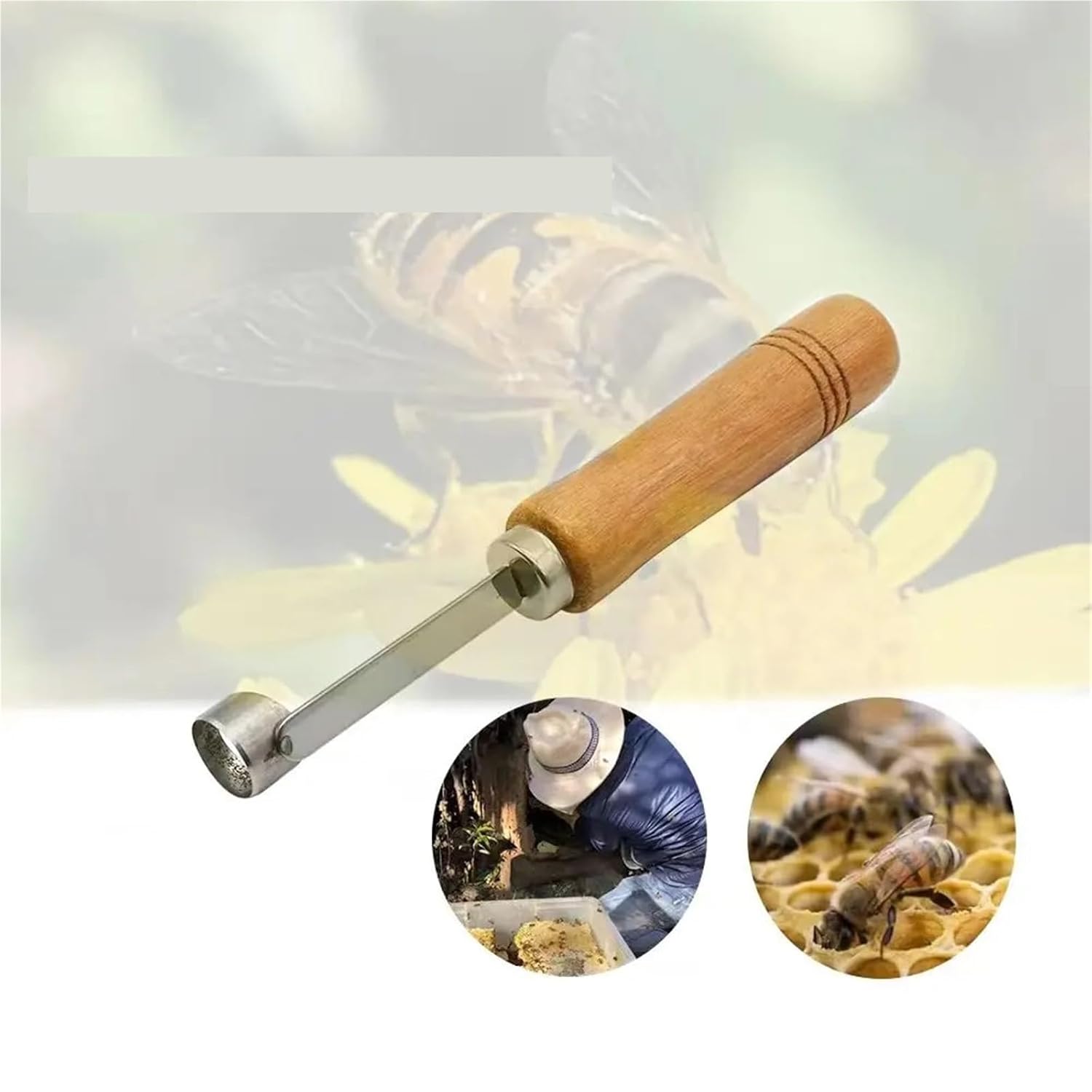 Beekeeping, 10Pcs Graftless Queen Bee Feeding, Spleen Cutting Knife, Larval Removal Device for Breeding Queens, Cell Construction, Extraction, and Puncture,for Beekeepers