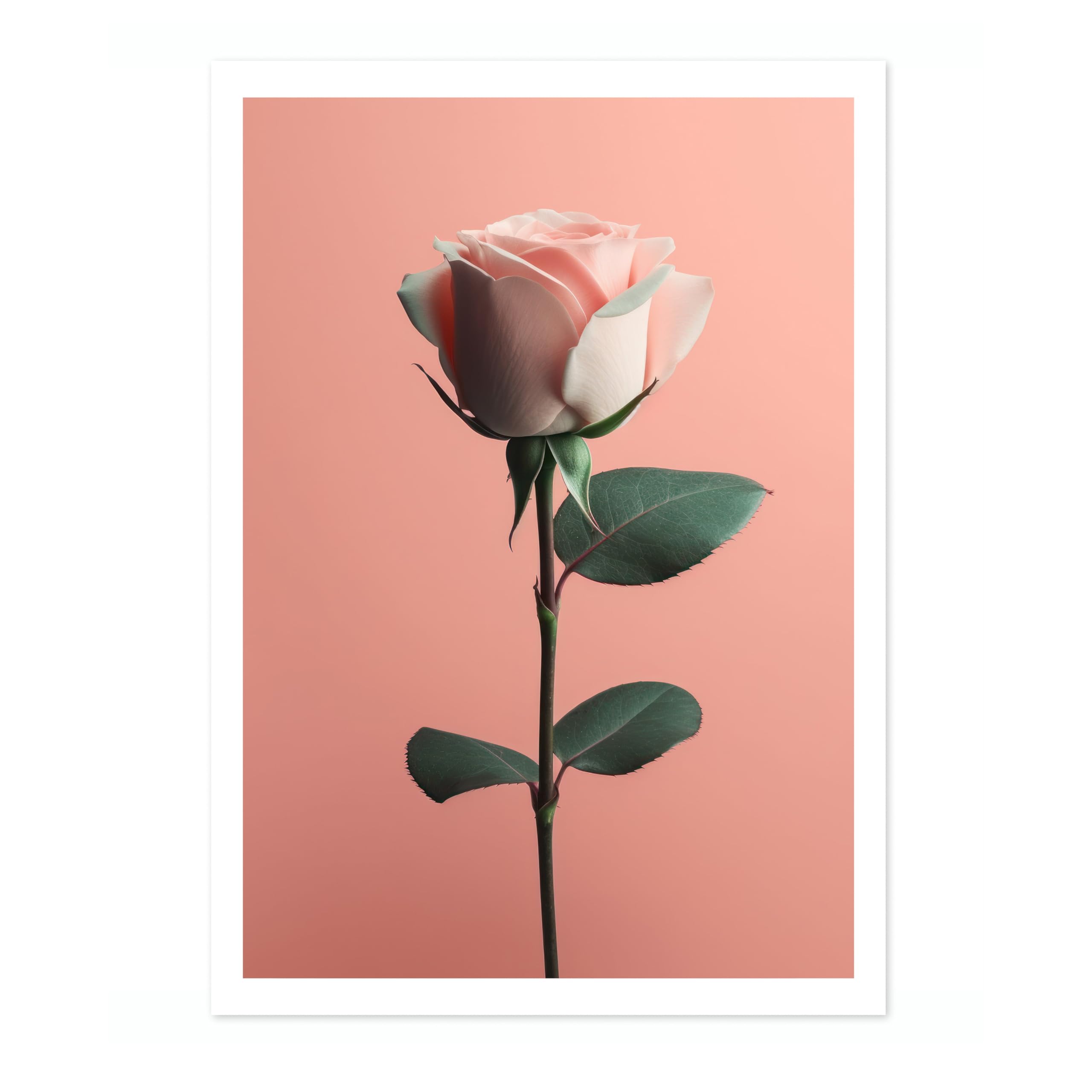 Rose Flower Poster, Colourful Floral Home Decor Wall Art, Abstract Colourful Minimalist Bedroom Artwork Gallery, Archival Matte, A4 (Print Only) - 29.7x21cm