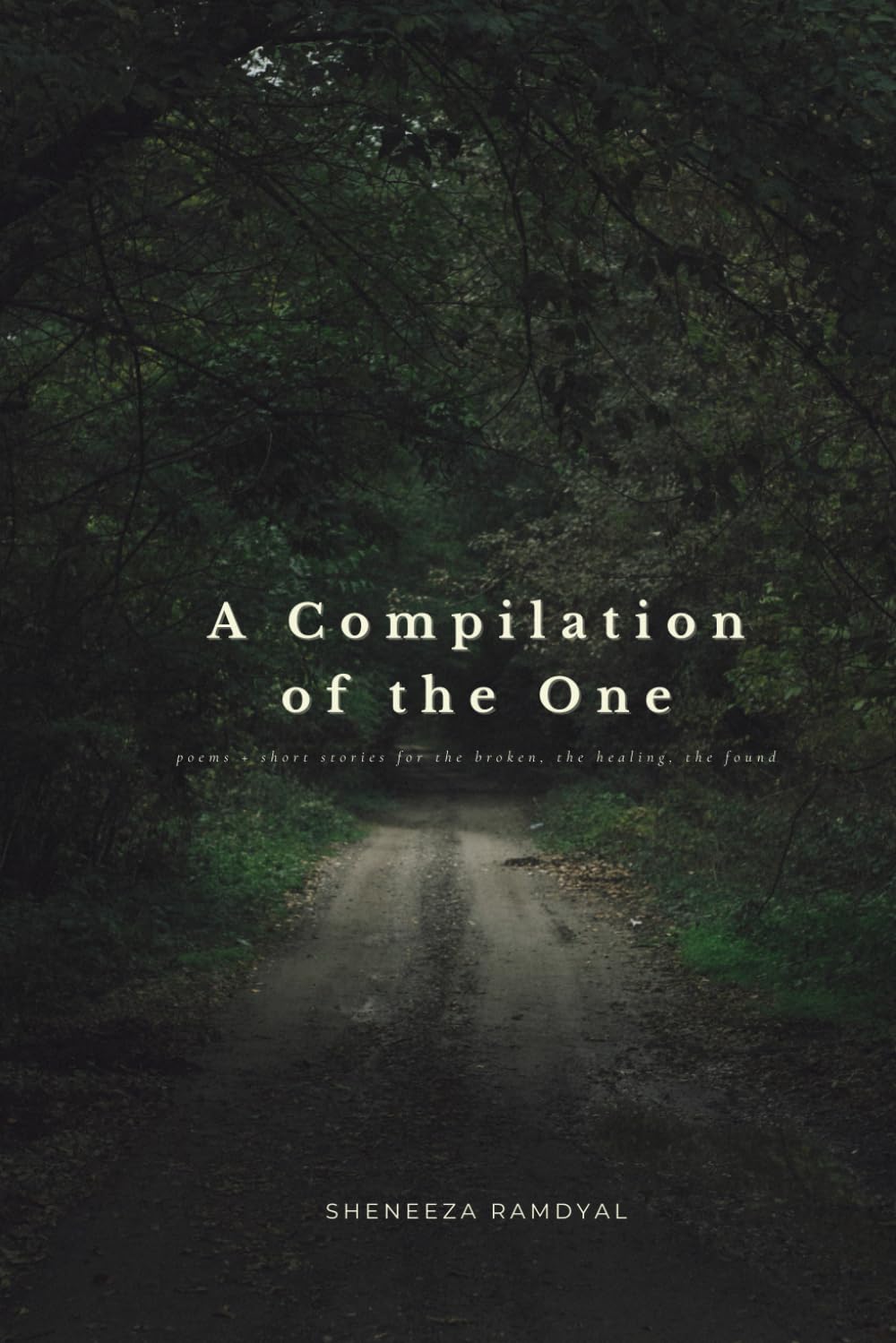 A Compilation of the One: poems + short stories for the broken, the healing, the found