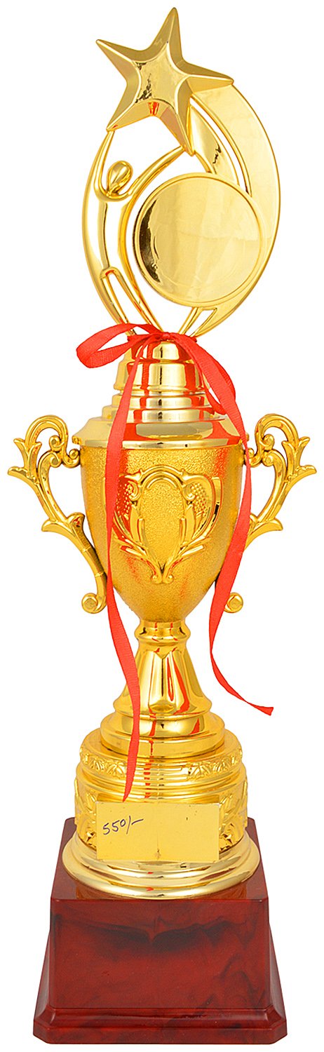 TROPHY JUNCTION Metallic Fiber Trophy (Gold, 16.5 Inch). (B01N49SFVT) Amazon Price History, Amazon Price Tracker