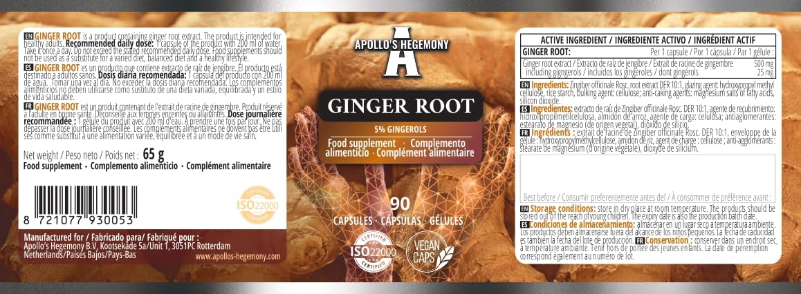 Ginger Root 500 mg, Extract contains 5% Gingerols, 90 Vegan Capsules, 3 Months Supply, Ginger Herbal Supplements for Digestive Comfort and Immune Support - by Apollo's Hegemony