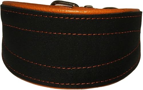 Miniatura 5 de Collar de perro cónico acolchado extra ancho de cuero real, color negro brillante, galgo, saluki, deerhound, lurcher, perro salchicha, perro