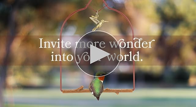 Amazon.com : Pop's Birding Hummingbird Swing, USA Made
