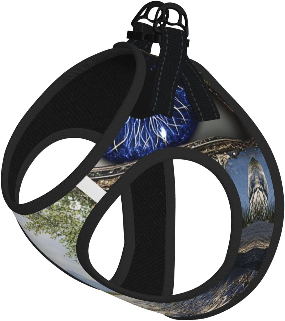 Mysterious Blue Pupils Pet Vest Small Size Dog Harness and Leash Set, Reflective & Breathable for Puppy Training Without Accessories Medium