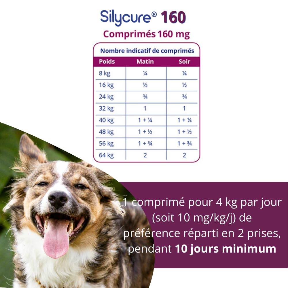 ANIDEV Silycure 160 - Aliment complémentaire Soutien Fonction hépatique Chien - Silybine Chardon Marie - Comprimés appétents quadrisécables - 75 comprimés