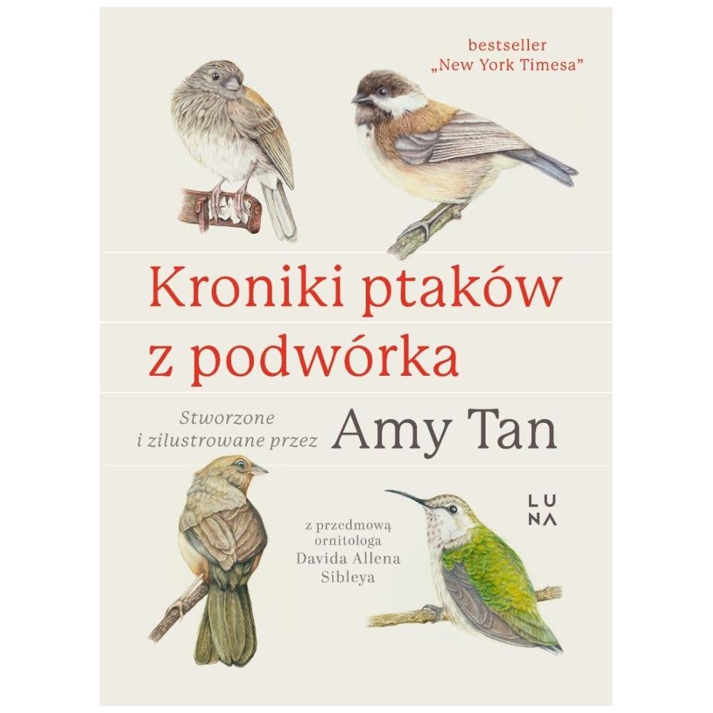 Kroniki ptaków z podwórka