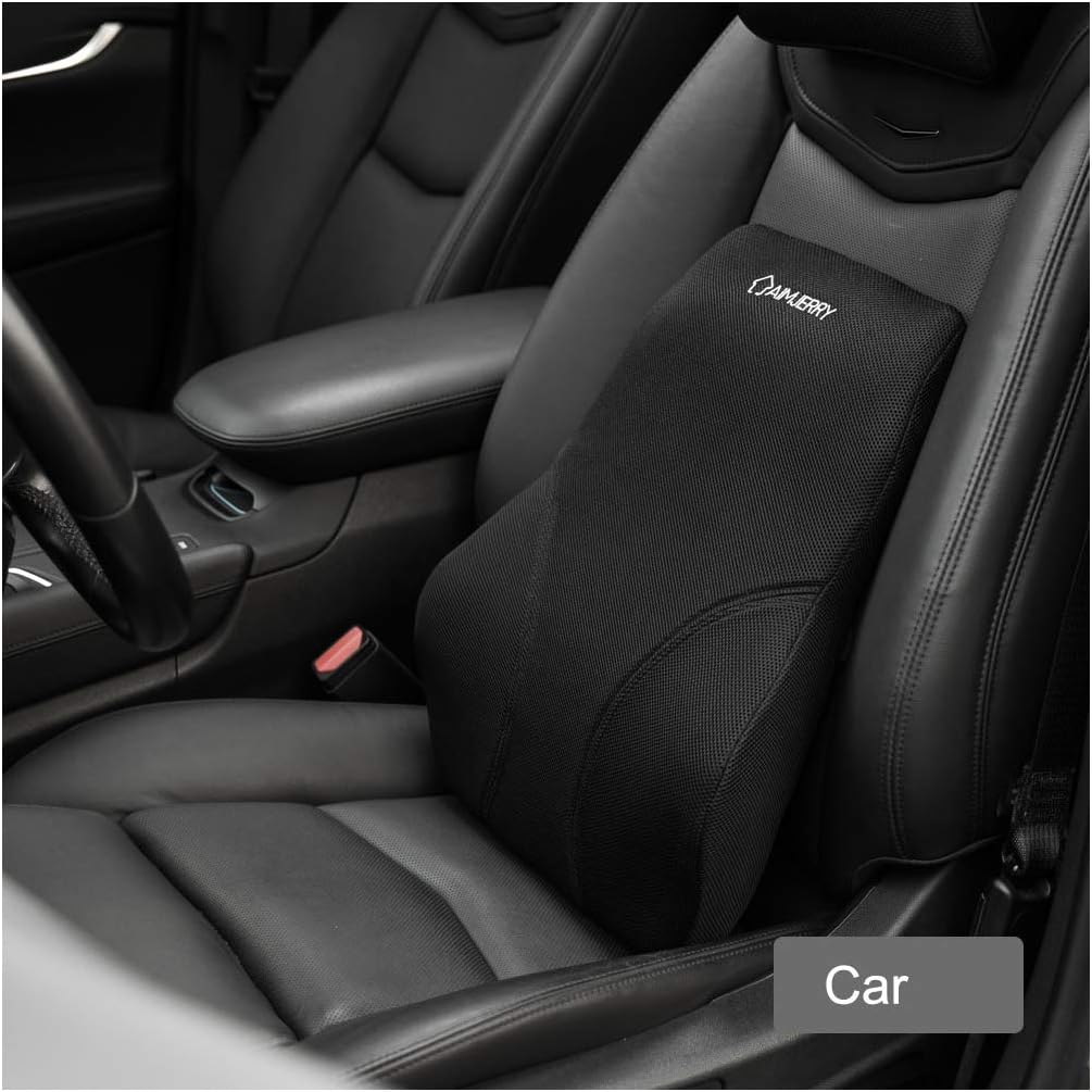 Aimjerry Lumbar Support Cushion Back Lumbar Pillows with Memory Foam for Office/Home/Car/Travel
