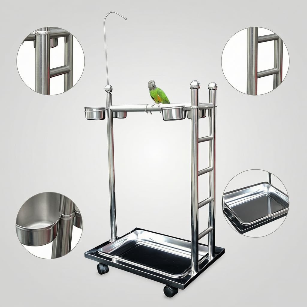Supporto per Uccelli Regolabile, 1.9 diametro bastone | Assemblag facile, Supporto per pappagalli, Esposizione domestica, Per appassionati ornitologia