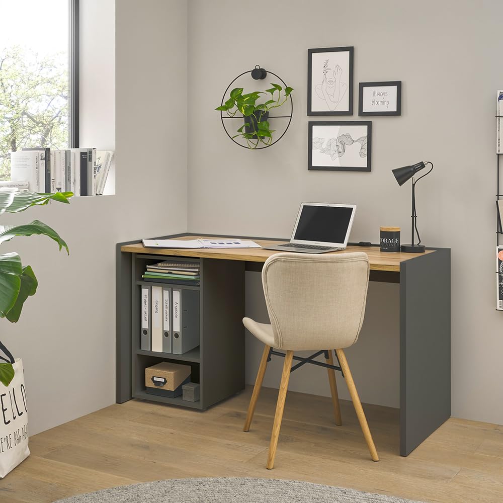 Büromöbel Set anthrazit mit Eiche 2-teilig modern, 1 Schreibtisch, 1 Regal