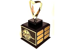Personalized Sacko Trophy for Fantasy Football | Last Place Trophy | Engraved...