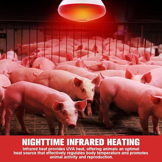 Foto 5 de 7 de Weciau Lampara Infrarrojos para Reptiles, Lámpara de Luz Roja de 250 W, para Animales Gallinas, Perros