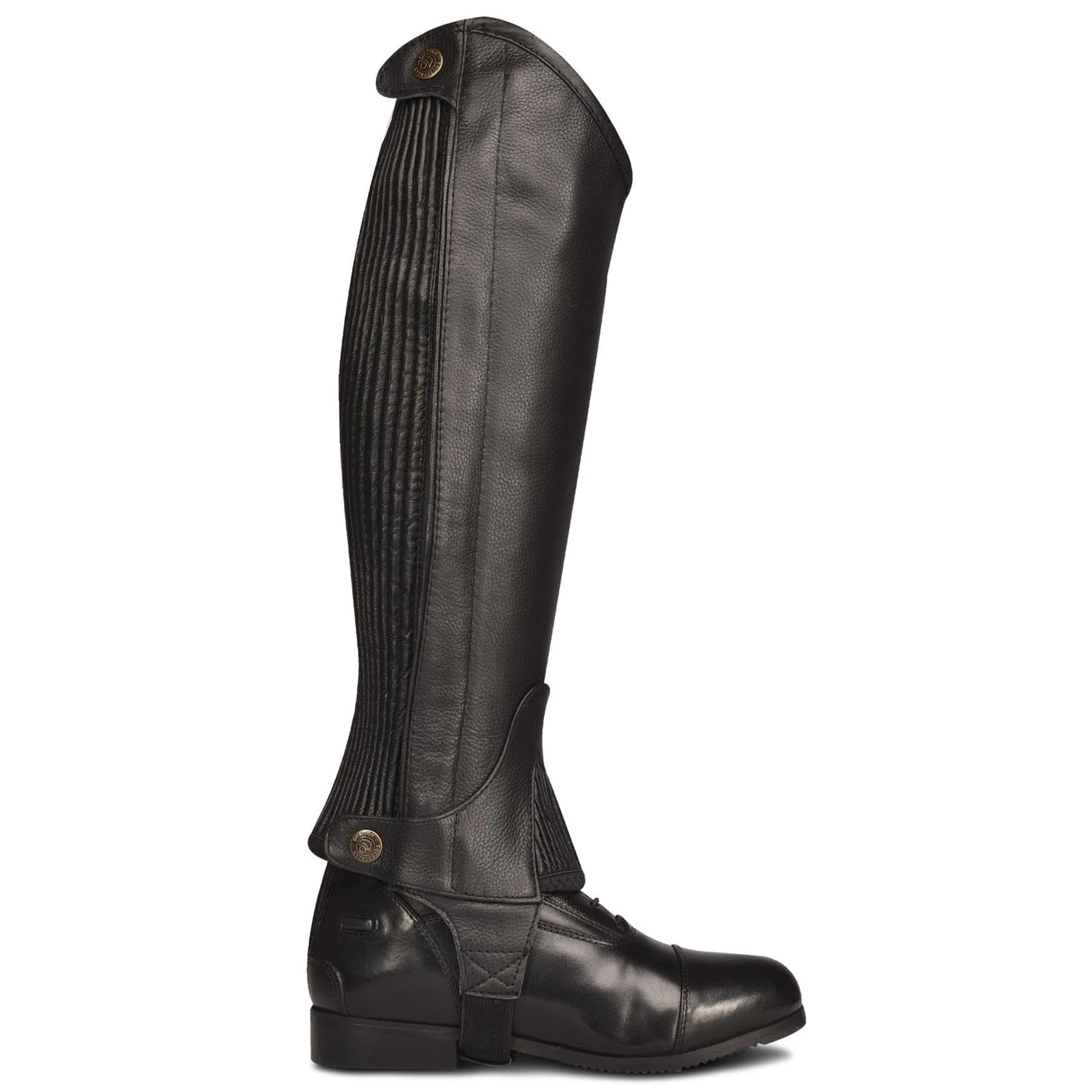 Ovation Damen Pro Leder Halbchaps – Premium Top Grain Leder Schwarz Reitchaps mit Stretch-Einsätzen und Druckknöpfen