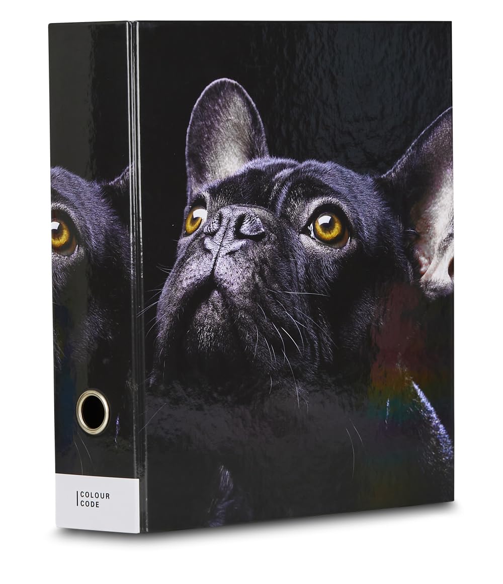 Set di 3 Raccoglitori ad Anelli, Colour Code, Nero, Tema Cagnolino, Plastificati Lucidi, Ideale per fogli A4, Meccanismo a Leva