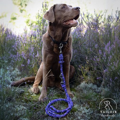 Tailoir Hundeleine 2m geflochten - Leine Hund, Mittelgroße - Große Hunde, Leine verstellbar, Hundeleinen, Dog Leash Führleine, Bissfeste Hundeleine zum Umhängen, Trainingsleine, Freihandleine Paracord