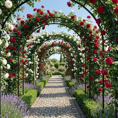 Arche de jardin en métal noir au design épuré pour une décoration extérieure