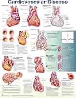 健康・医学 HEART DISEASE 616rzcYiofL._AC_SY200_QL15_.jpg