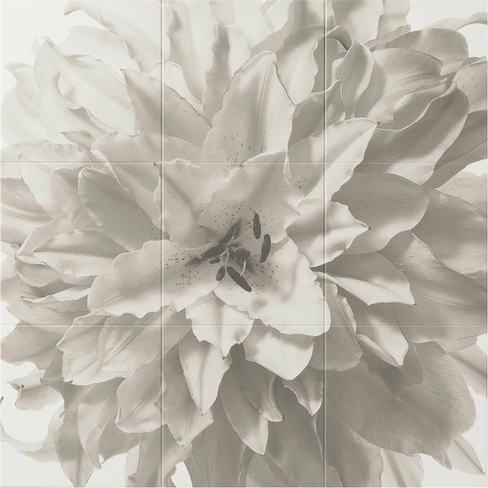 Amazon.co.jp: LIXIL(リクシル) エコカラットセルフ Flower 9090セット