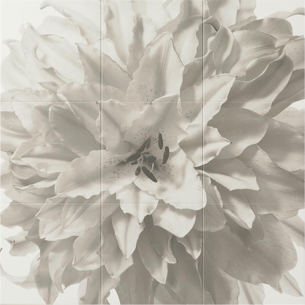 Amazon.co.jp: LIXIL(リクシル) エコカラットセルフ Flower 9090セット