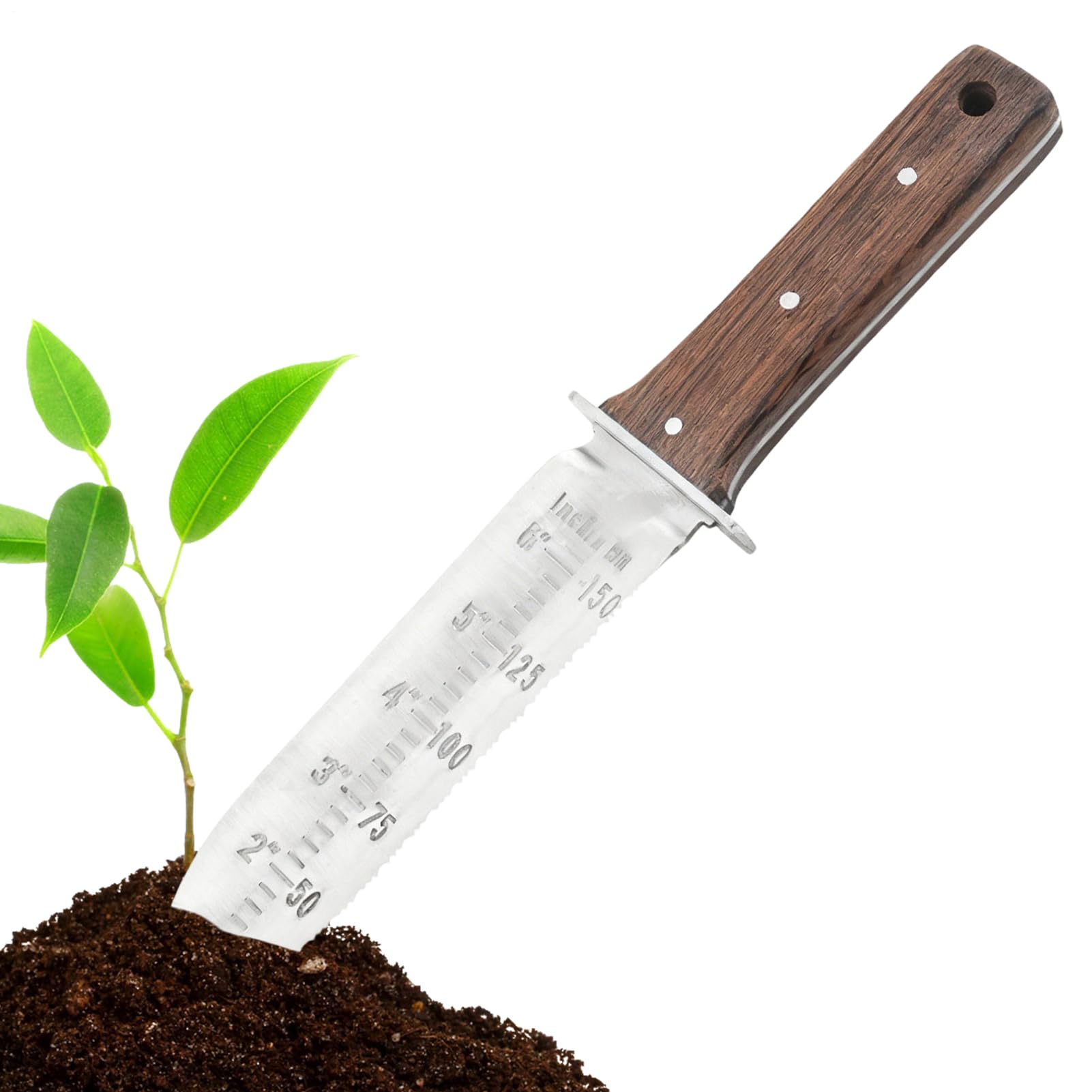 Transplantoir De Jardin | avec Manchette de Protection pour Déterrer et Couper - Pelle À Main De Jardin - pour Fête des Mères Anniversaire Noël Femmes Hommes Personnes Âgées Adultes Et