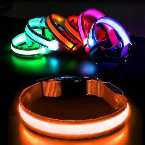 LED Dog Collar – Rechargeable Light Up Dog Collar for Night