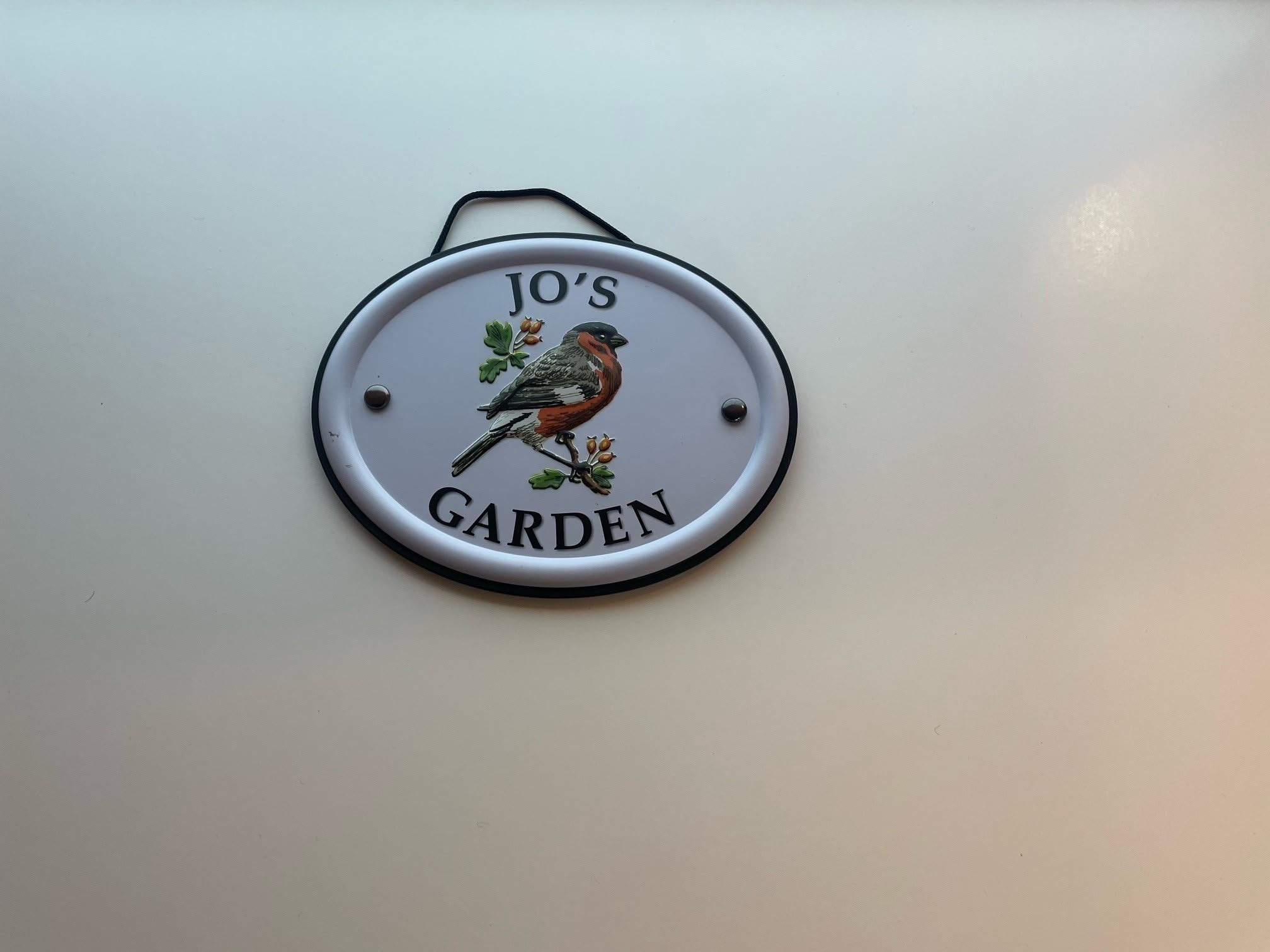 Personalised Embossed Metal Garden Sign 12x15cm โ British Bird Design โ Outdoor Decorative Hanging Garden Plaque โ Weatherproof Metal Sign for Garden Walls Fences or Sheds (Jo) โ image 1