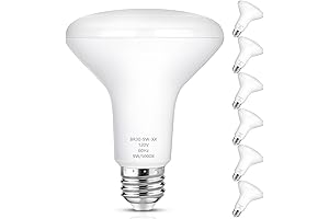 BR30 LED Light Bulbs Indoor Flood Light, 90W Equivalent, Daylight White 5000K
