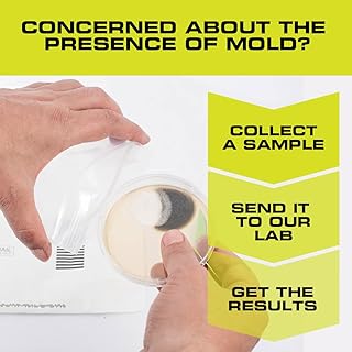 DIY Mold Test Kit (3 test methods), Includes Lab Analysis Fee, Prepaid Freight Envelope and Expert Consultation