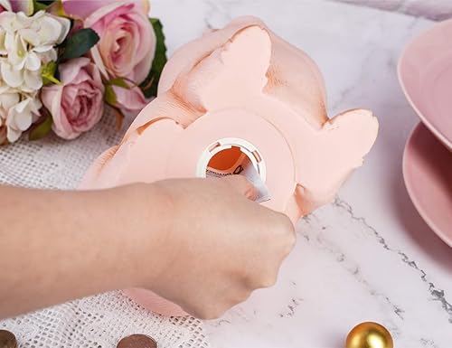 Miniatura 4 de H&W Lindo banco de dinero de cerdo, alcancía inastillable, banco de dinero creativo, puede almacenar 1000 monedas, el mejor regalo de cumpleaños,