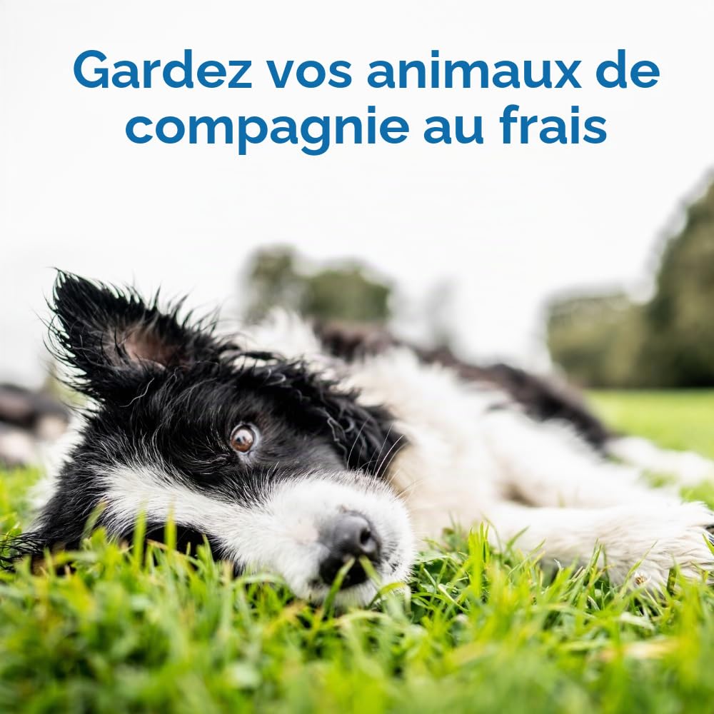 THEGREENPETSHOP - Cool Pet Pad – Tapis Auto-refroidissant, à Activation par Pression, pour Chiens et Chats de 9,5 à 20,4 kg, en Gel Non Toxique, Pas Besoin d’Eau