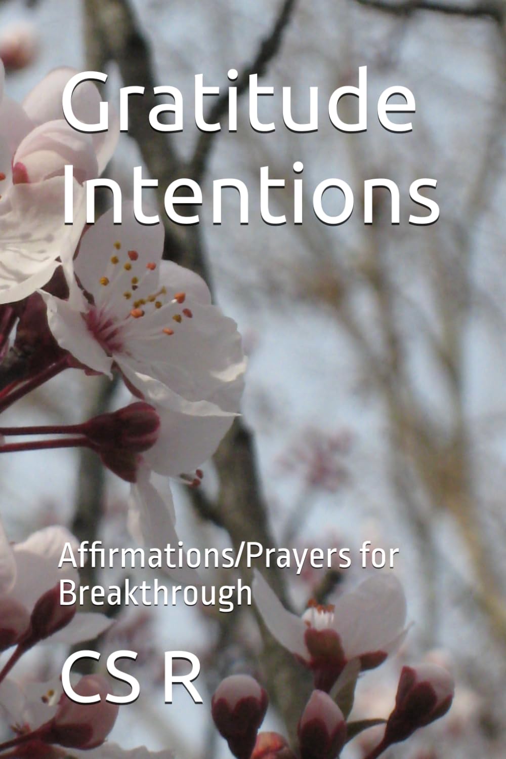 Gratitude Intentions: Affirmations/Prayers for Breakthrough