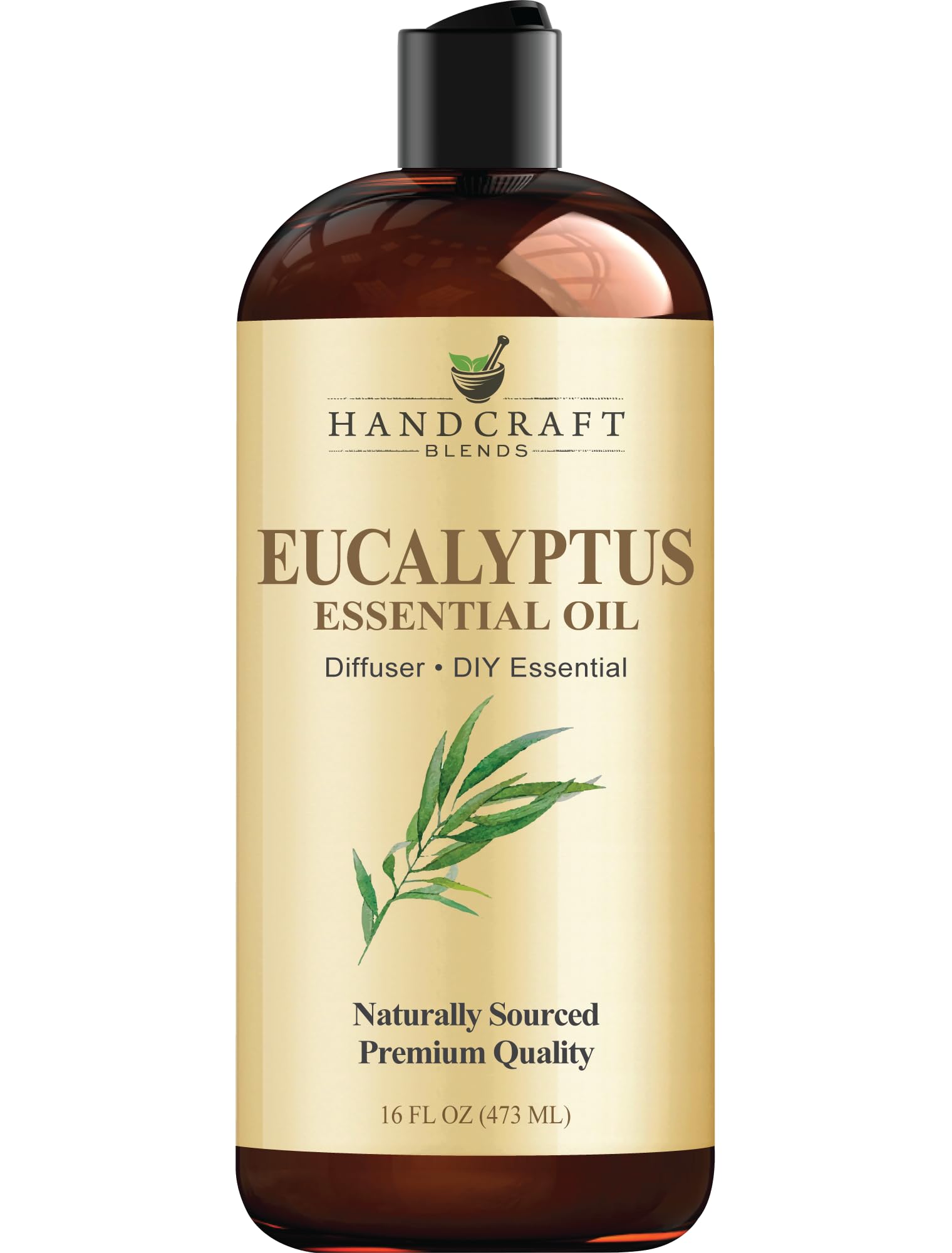 Handcraft Blends Eucalyptus Essential Oil - Huge 16 Fl Oz - for Candle Making, Soap Making, Diffusers, and Aromatherapy