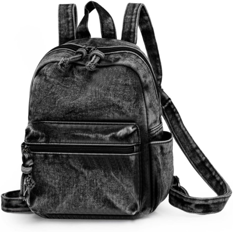 希少 SALOMON アルペンスキー スキーバッグ 選手用 バックパック レア 希少 SALOMON アルペンスキー スキーバッグ 選手用 バックパック レア