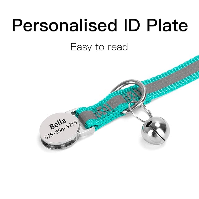Foto 4 de 6 de Collar reflectante personalizado para gato con etiqueta de nombre