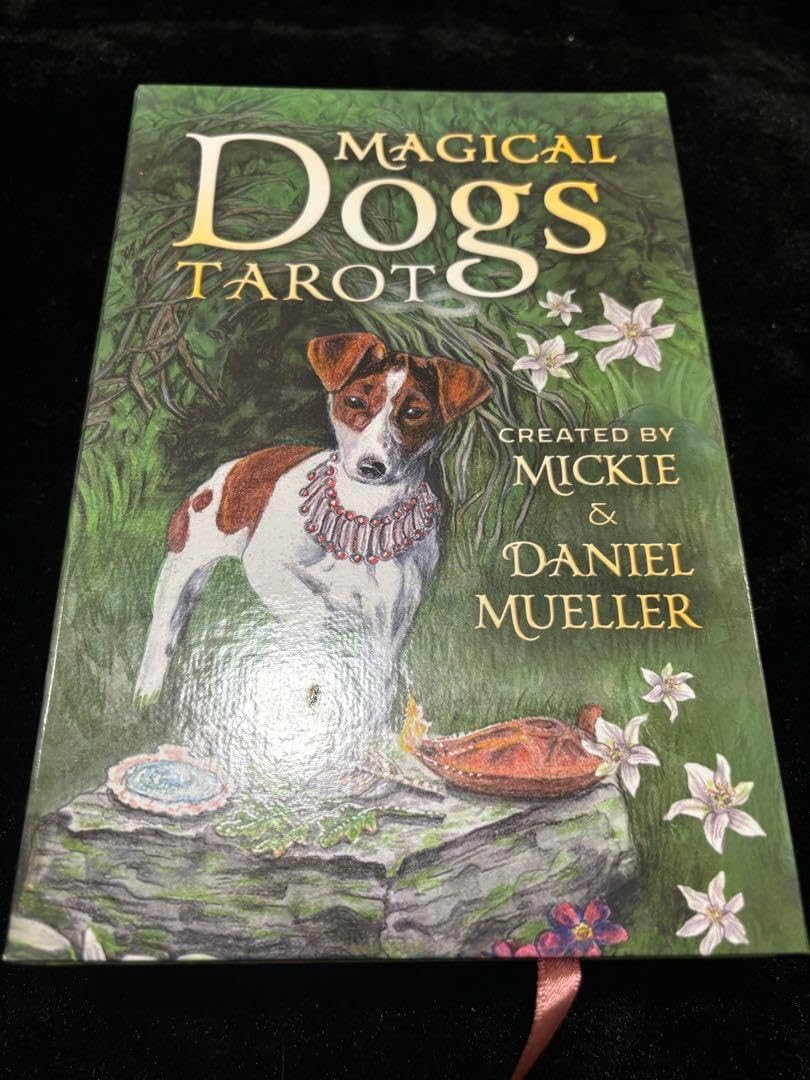 正規品オラクルカード美しく幻想的なイルカのデッキドルフィンハート