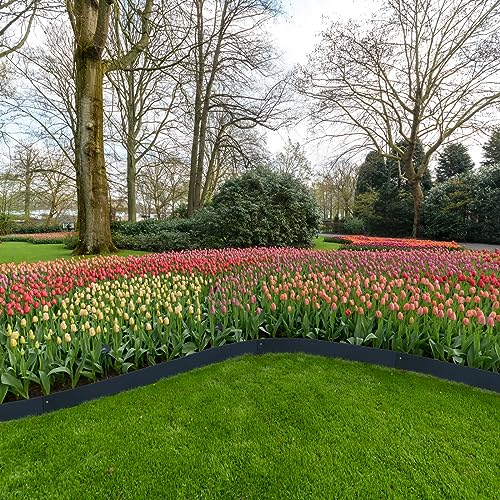 Gzgneevl GZG103 Landscape Edging Galvanized Steel Edging Black Steel Landscaping Edge Metal Garden Border Bed 8 Inch Depth 40 Inch Strips 6Pcs Hammer-In thumb #4