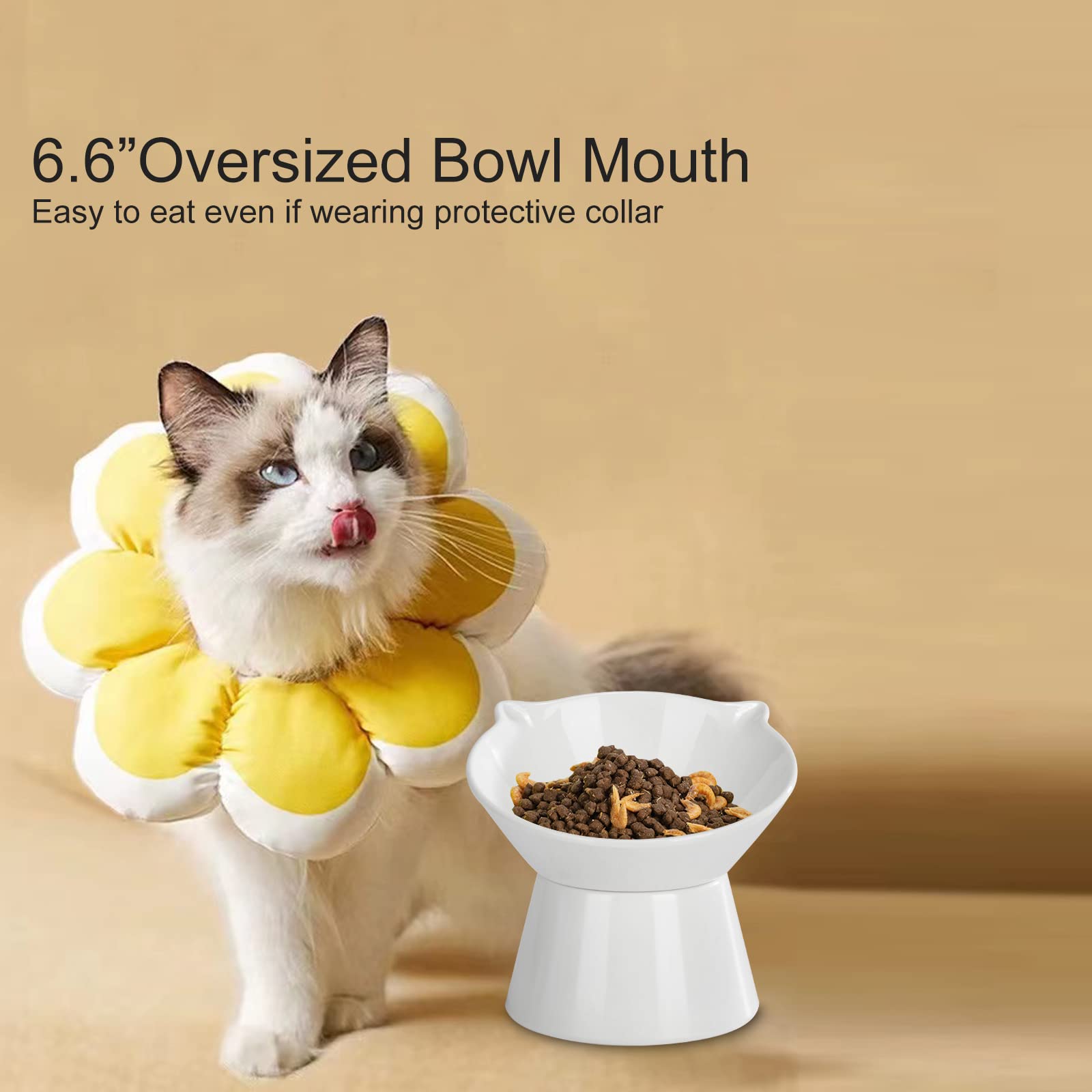 Elevated Cat Bowls for Food and Water - Loplurea 15° Tilted Raised 3 Stainless Steel Cat Food Bowl Feeder, with Bamboo Stand and Anti Vomit Feeding Station for Indoor Cats and Pet
