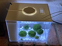 Review Image by Aunt JB