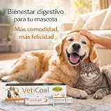 Ver la foto 7
