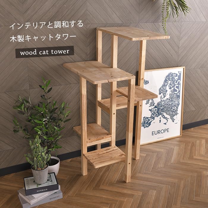 Amazon | NATURAL SIGNATURE ナチュラルシグネチャー Cut-hus